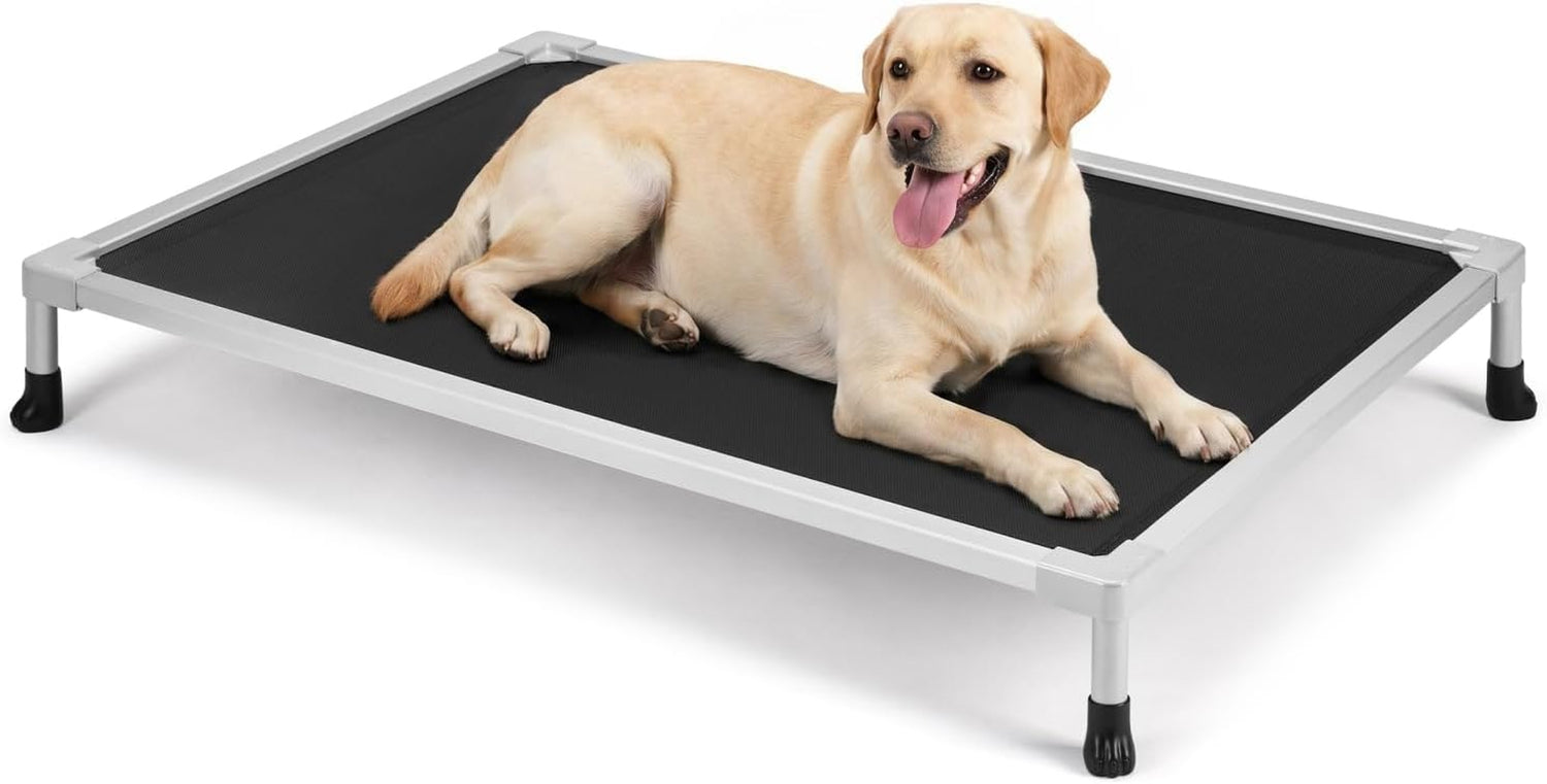 Yellow Labrador lying on a black elevated aluminum dog bed, angled front view on a white background