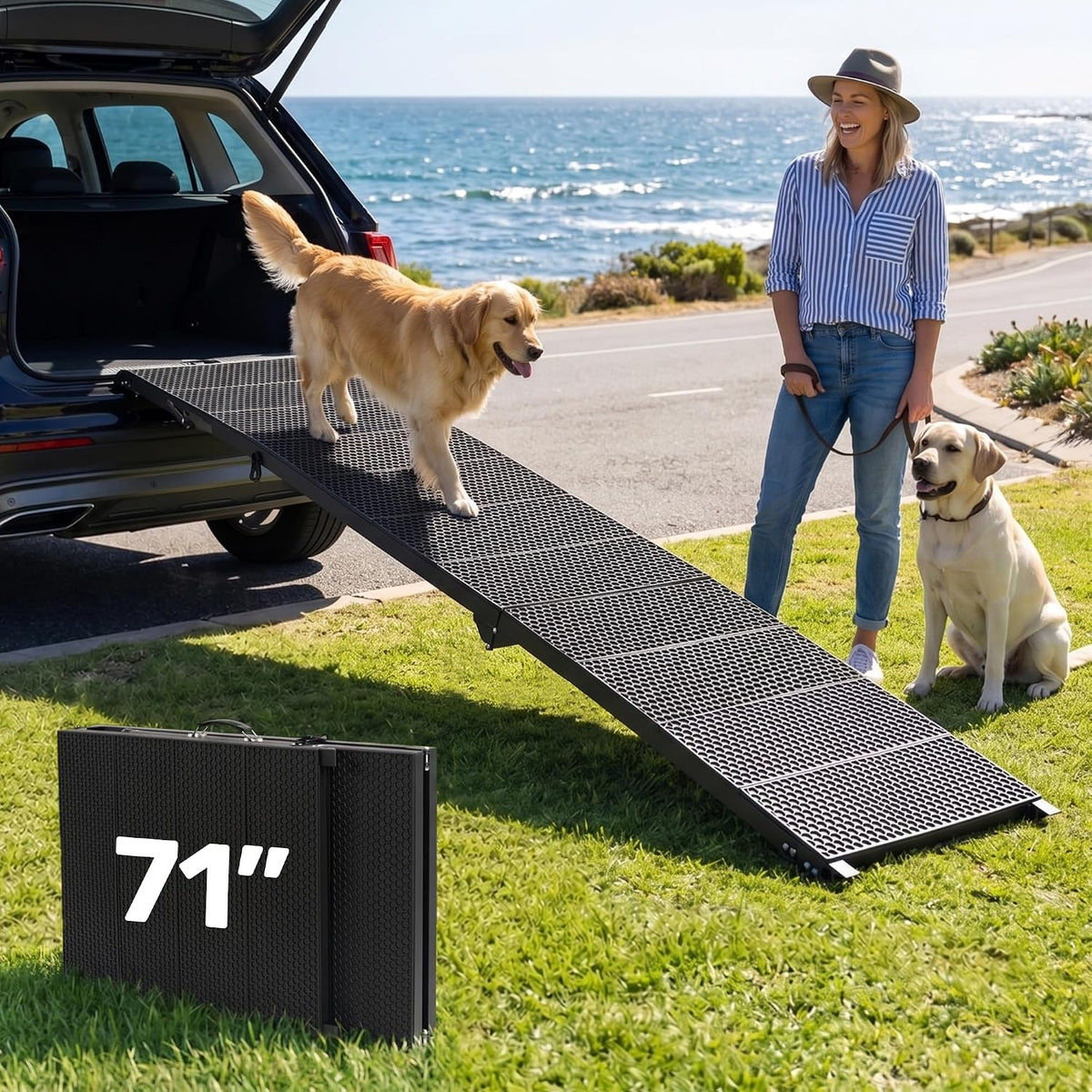 Golden retriever descending a long black ramp from an SUV while a woman and another dog watch on the grass.
