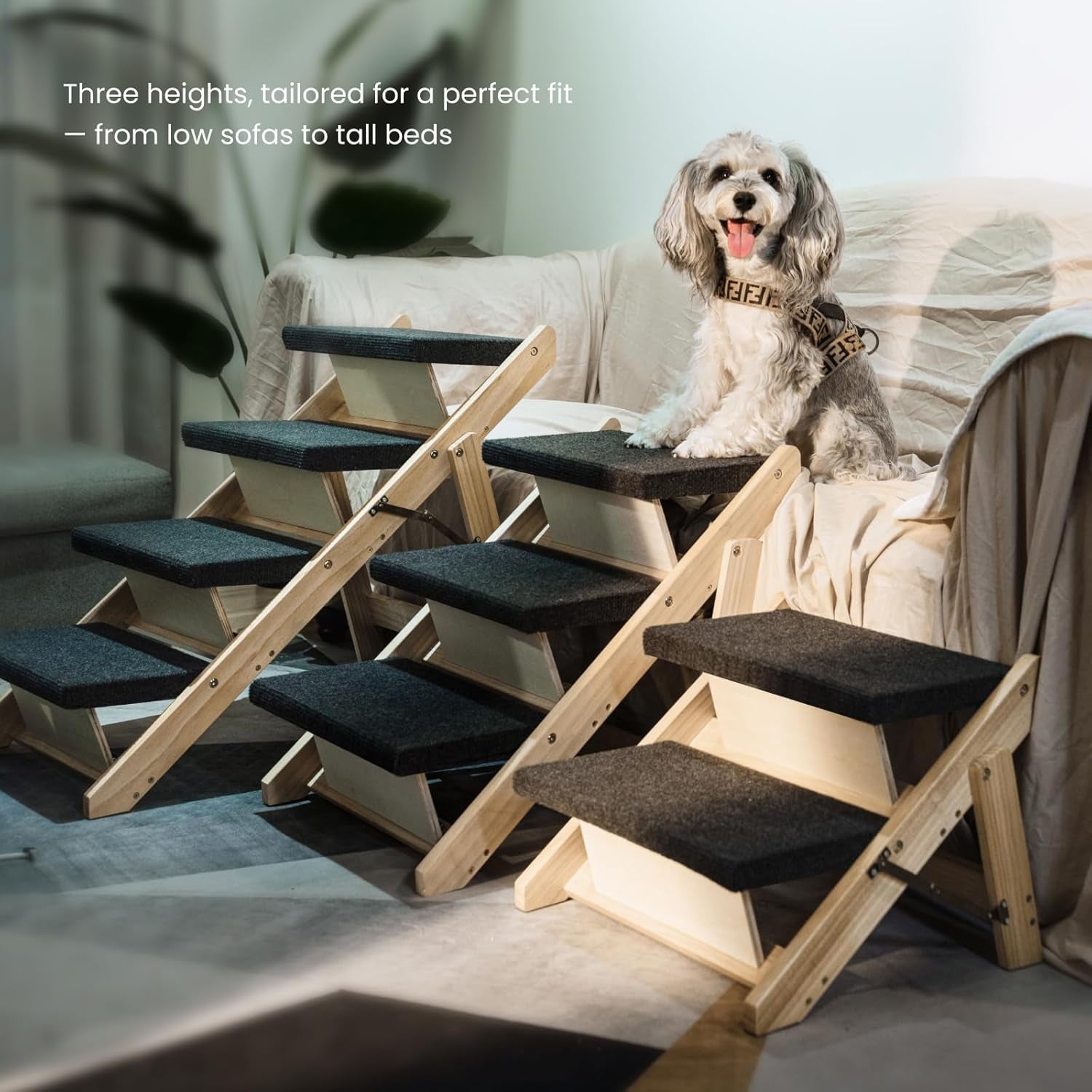 Three natural birch pet stairs in different heights arranged side-by-side showing 2-, 3-, and 4-step options in a living room