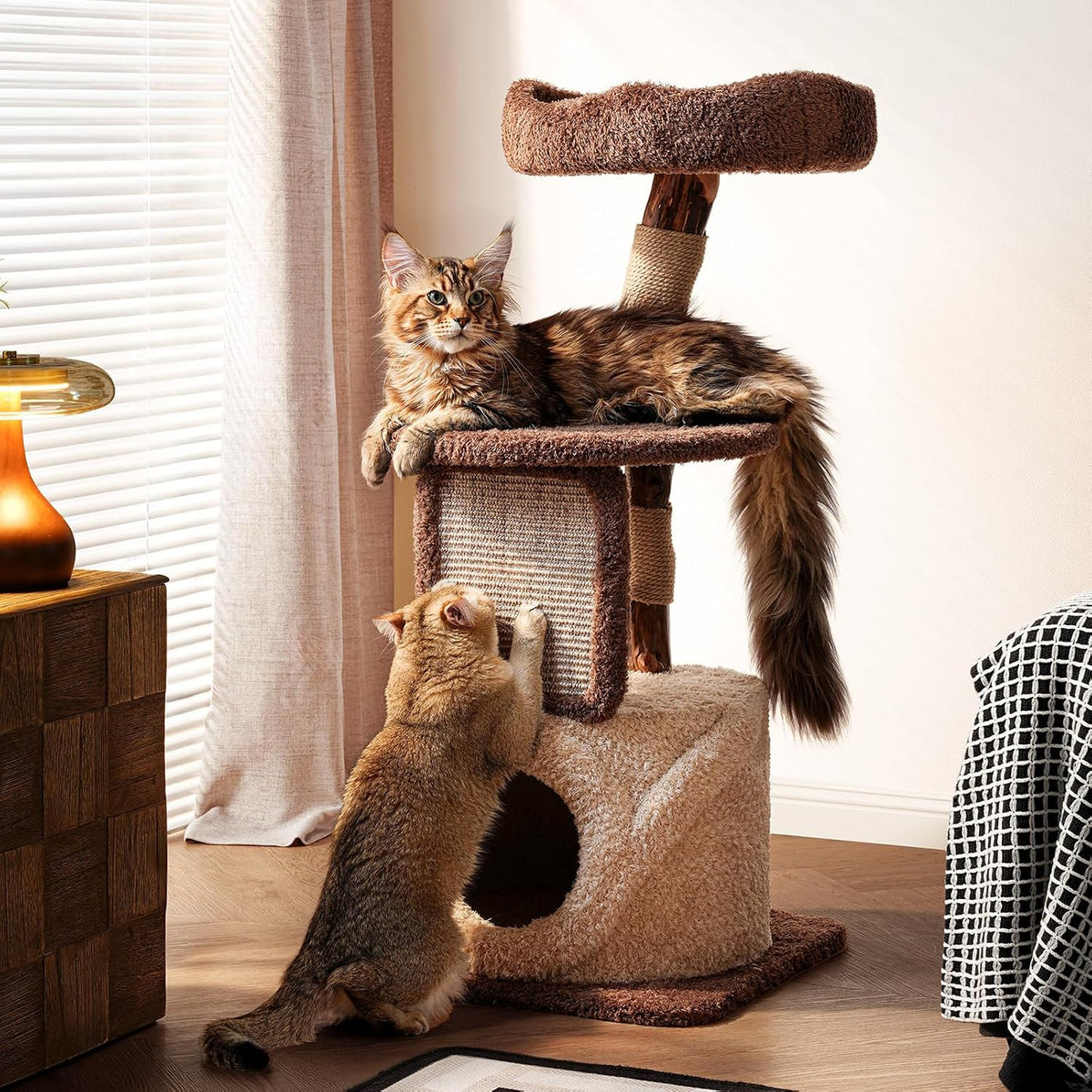 Brown multi-level cat tree with two cats on platforms and a hideaway condo in a living room corner
