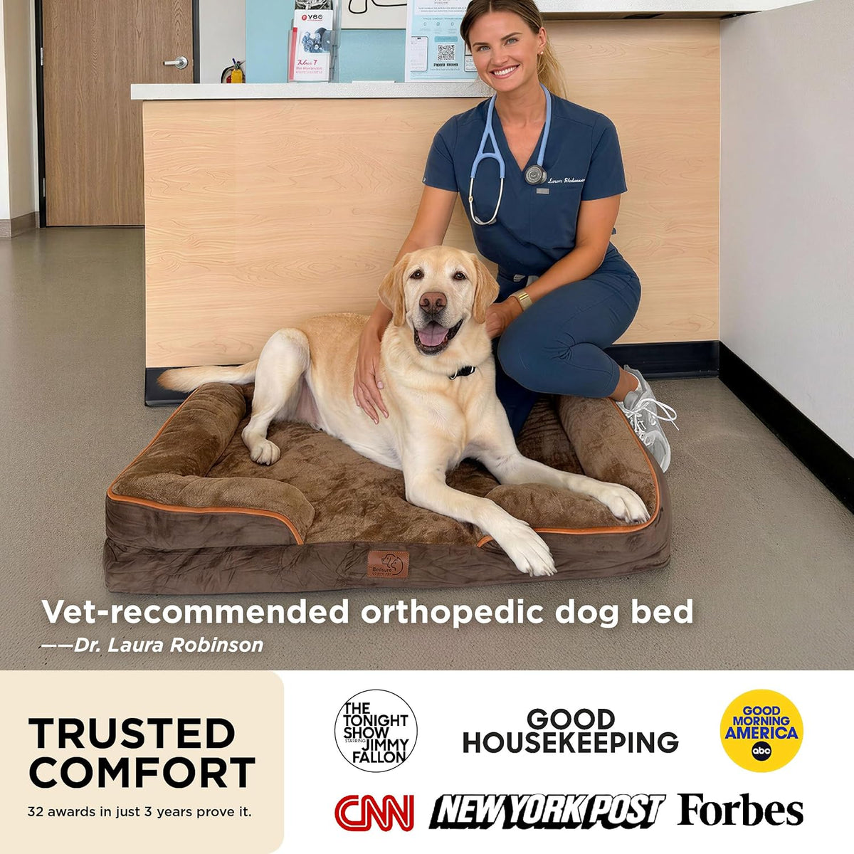 Brown bolster dog bed with a large yellow lab and a smiling veterinarian in a clinic setting