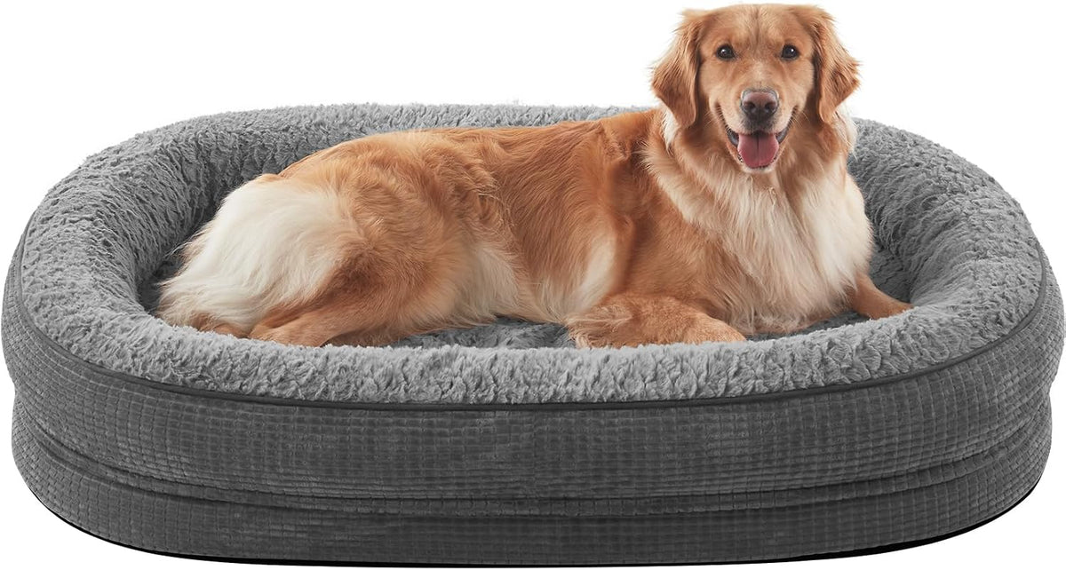 Front view of a gray oval bolster dog bed with a golden retriever lying inside, white background.