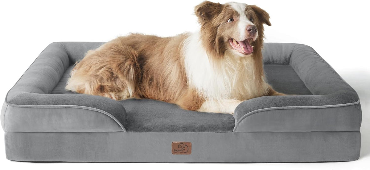 Brown-and-white dog sitting alert on a dark gray rectangular bolster dog bed.