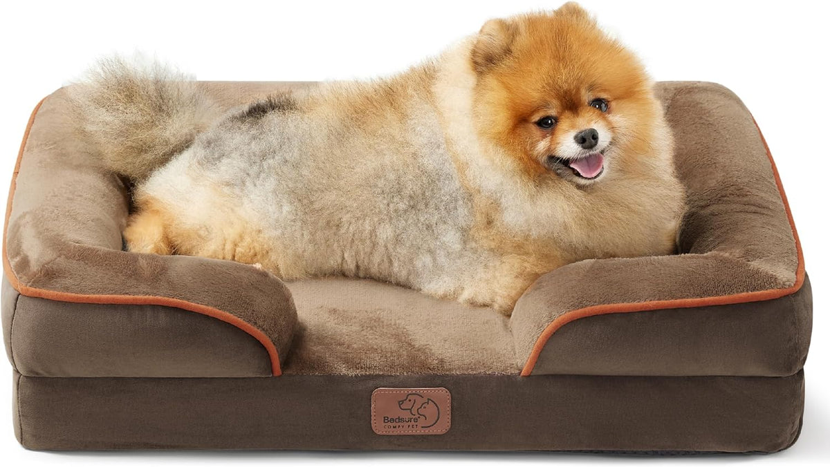 Brown plush bolstered bed with orange piping and a smiling Pomeranian curled inside