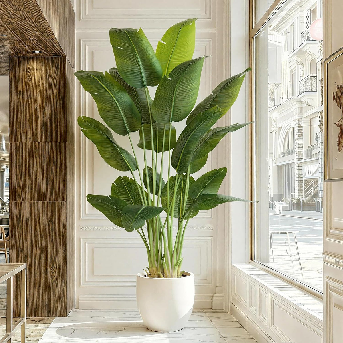 Tall bird-of-paradise style plant in a white pot positioned in a bright foyer next to a large window
