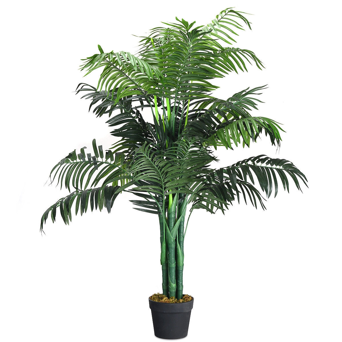 Artificial palm with arching green fronds in a black pot against a white background.
