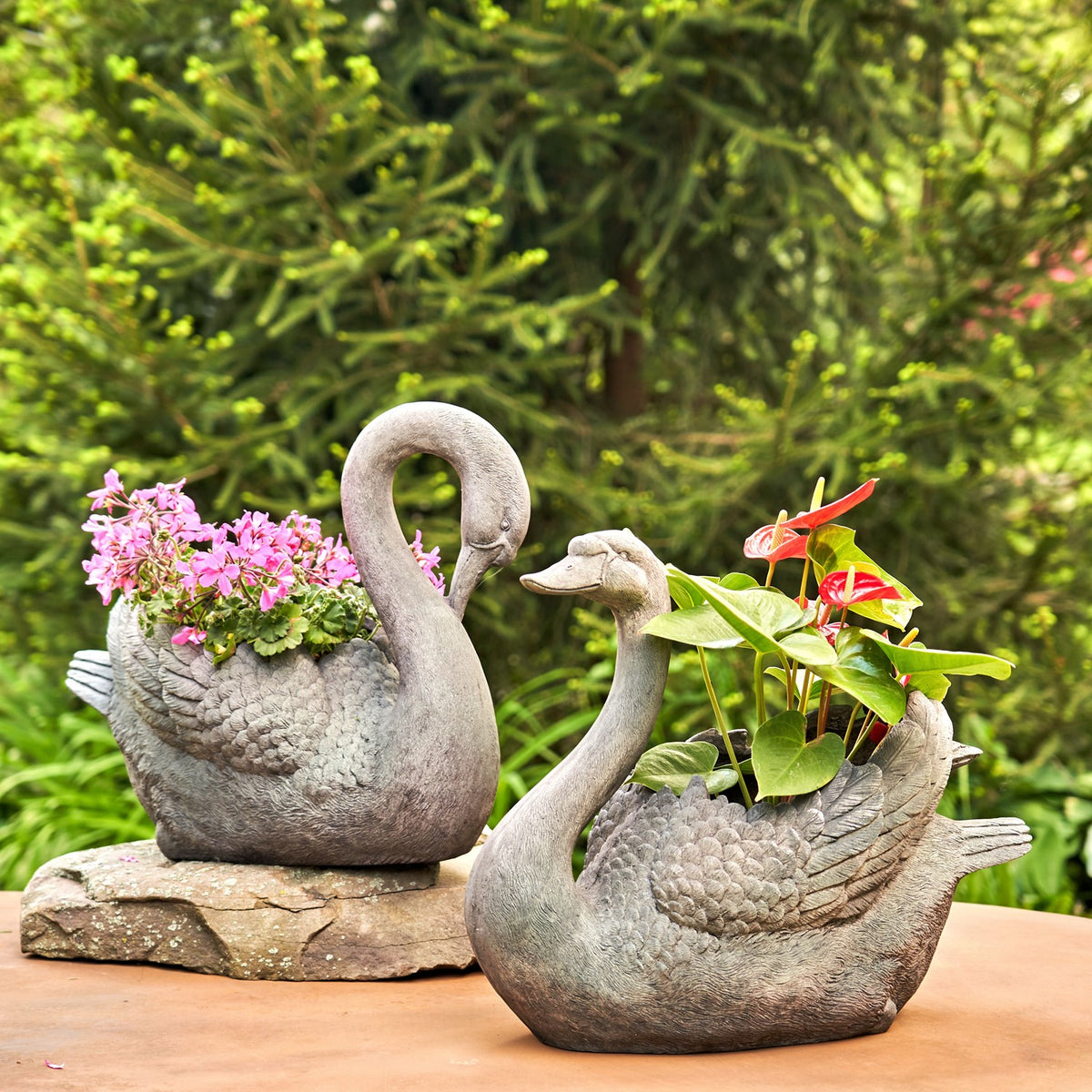 Set of 2 Magnesium Swan Planters "Derek & Odette"