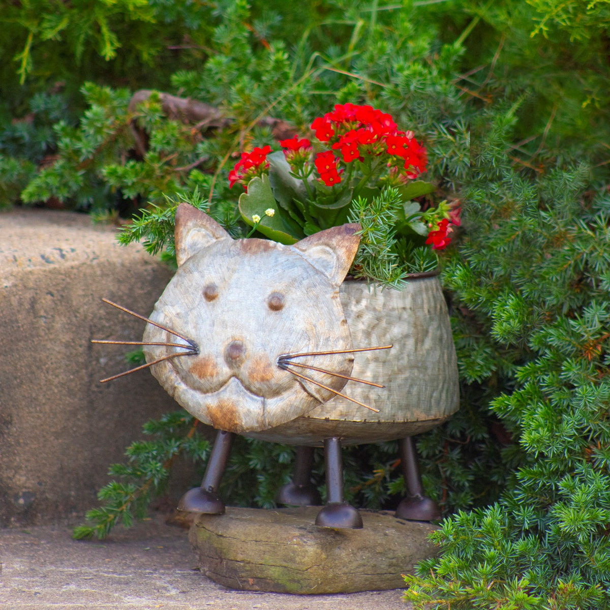 Set of 6 Assorted Galvanized Animal Planters