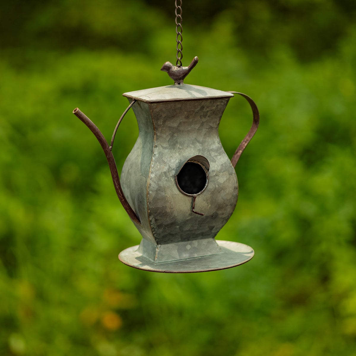Teapot-shaped birdhouse with a long spout, curved handle, round entrance, and bird finial, hanging against greenery.