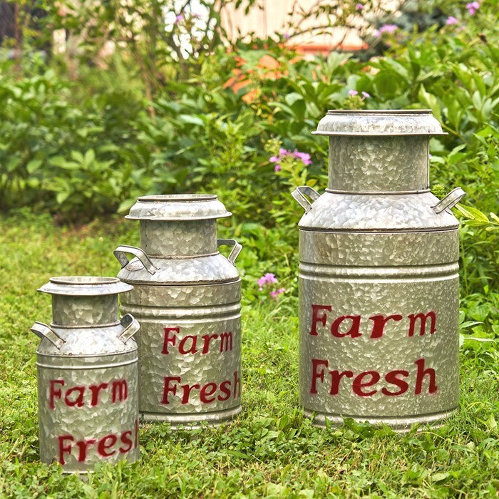Three galvanized milk-can-shaped planters stand among garden greenery, with red lettering on their sides.