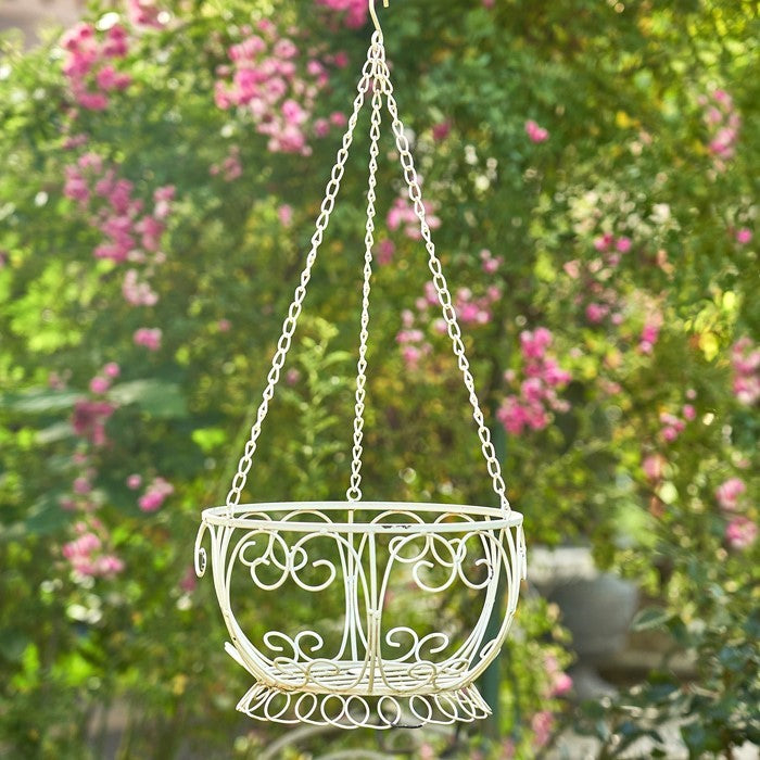 Cream-colored hanging iron basket with curled scrollwork, suspended empty among flowering greenery.