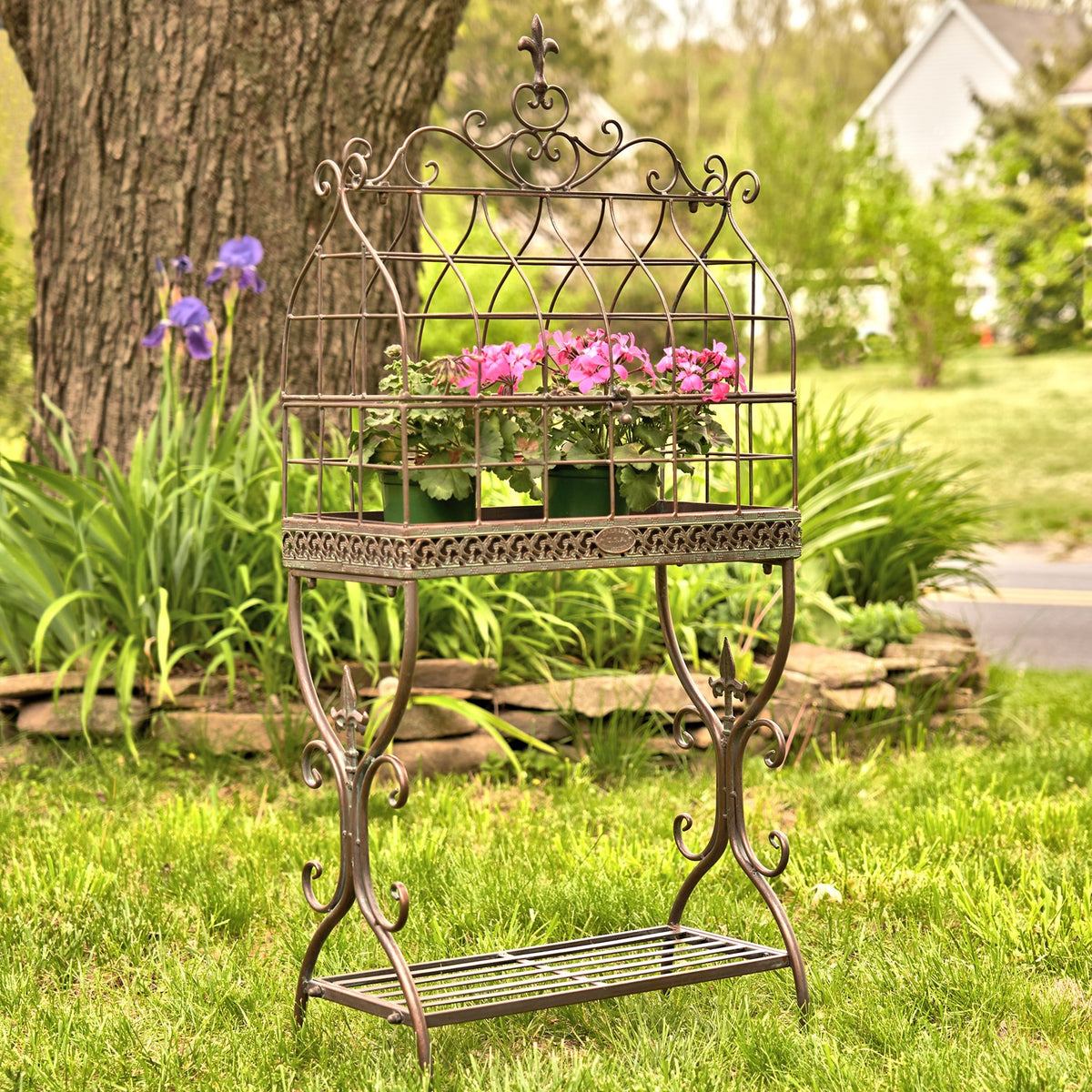 42.5" Tall Iron Cage Plant Stand "Paris 1968"