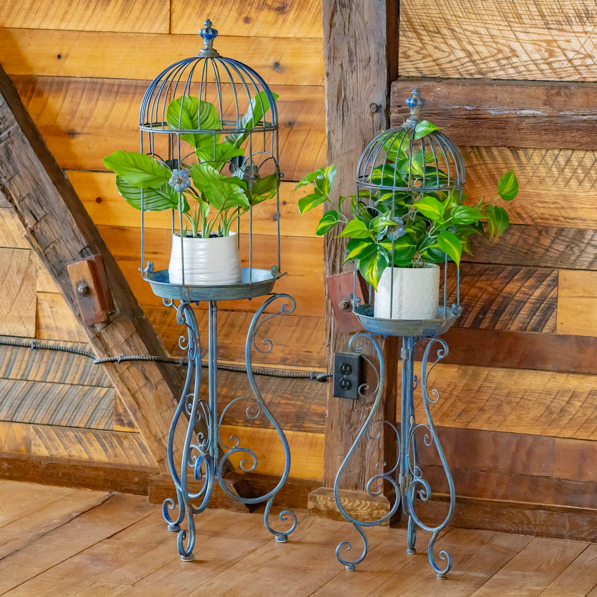 Two dark iron birdcage planters holding leafy plants, shown against a rustic wooden wall.