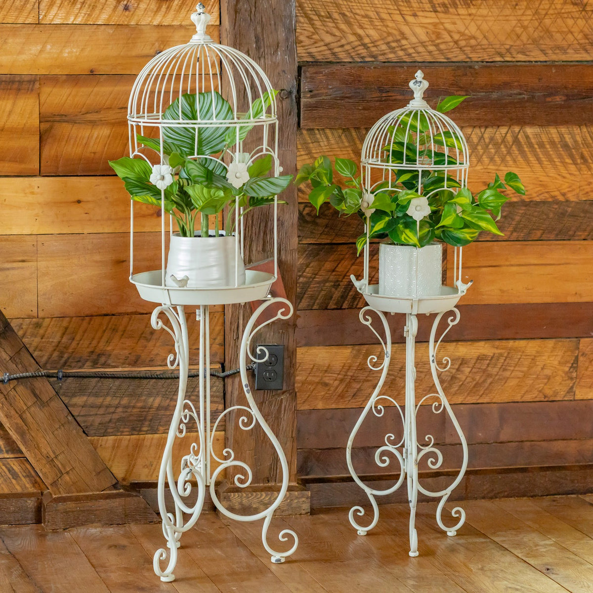 Two white iron birdcage planters with leafy plants stand against a rustic wood wall.