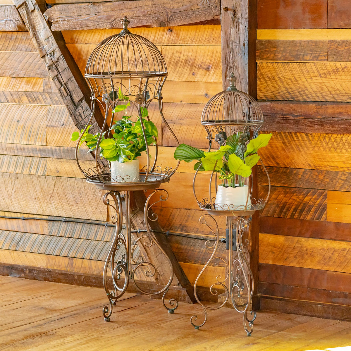 Pair of bronze birdcage plant stands with greenery in a rustic wood interior