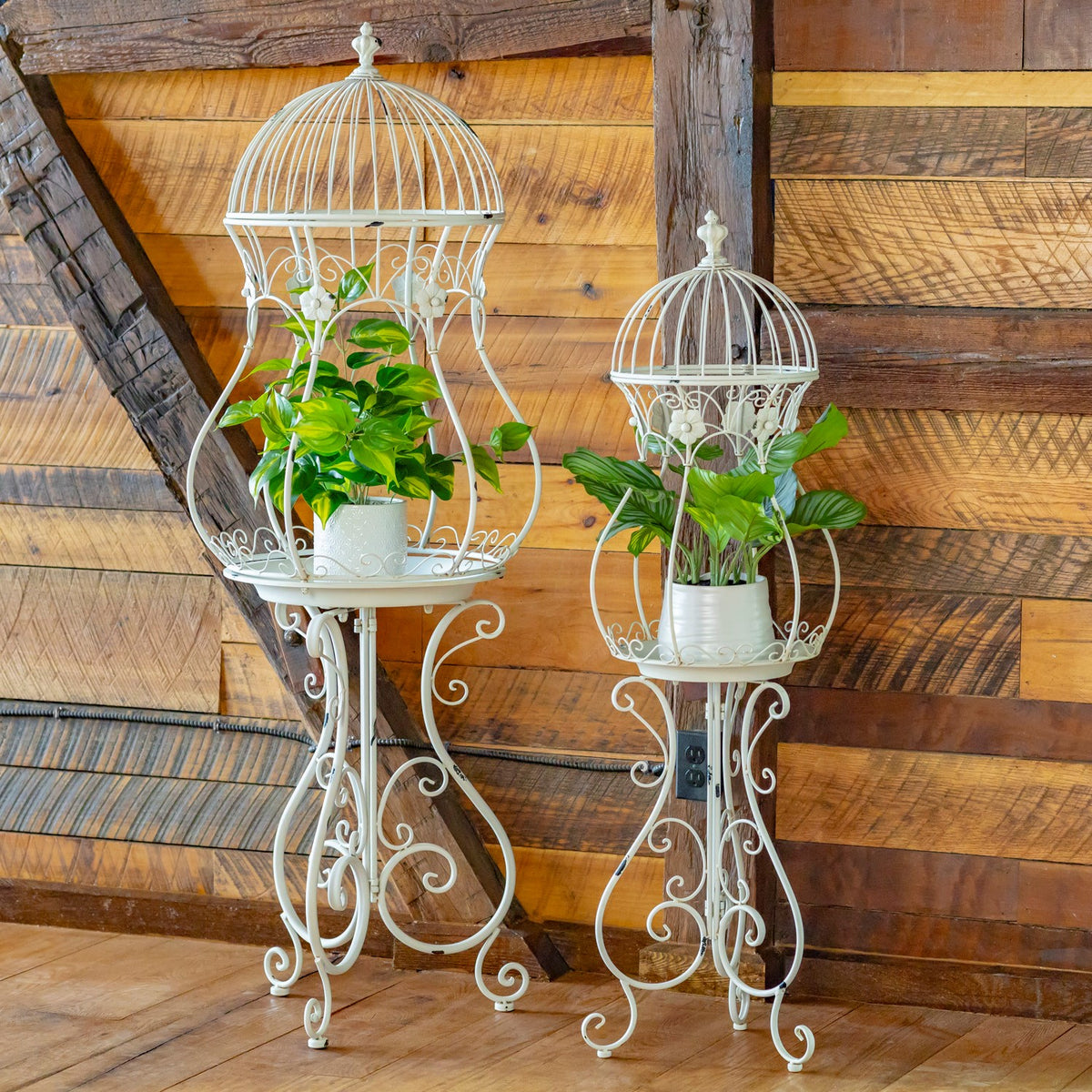 Pair of white birdcage plant stands with greenery against a rustic wood wall