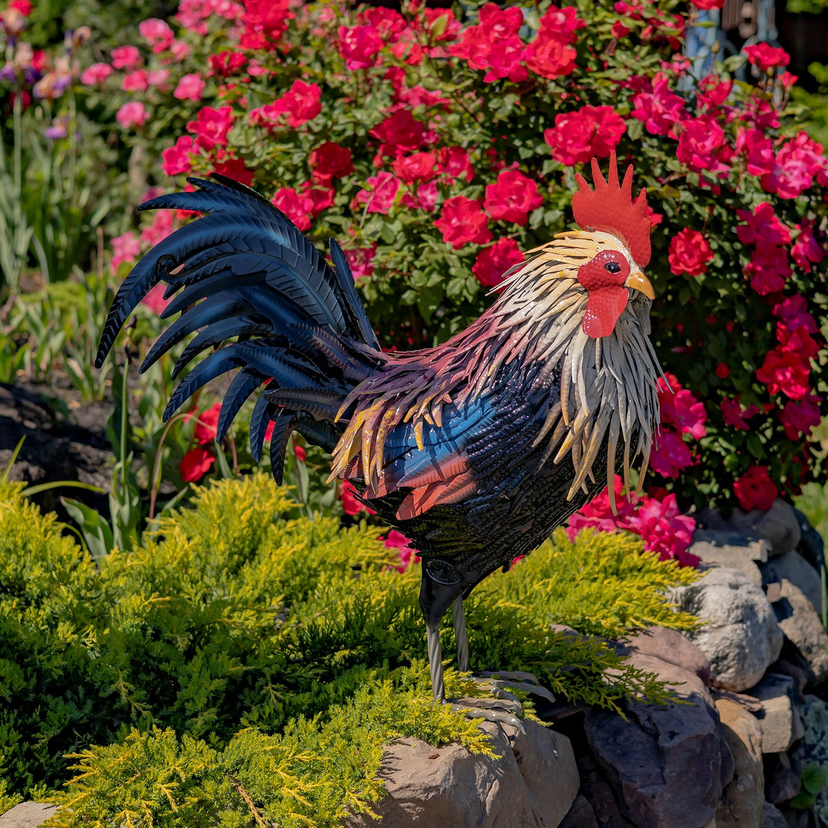 27" Tall Painted Iron Rooster Decoration "Chester"
