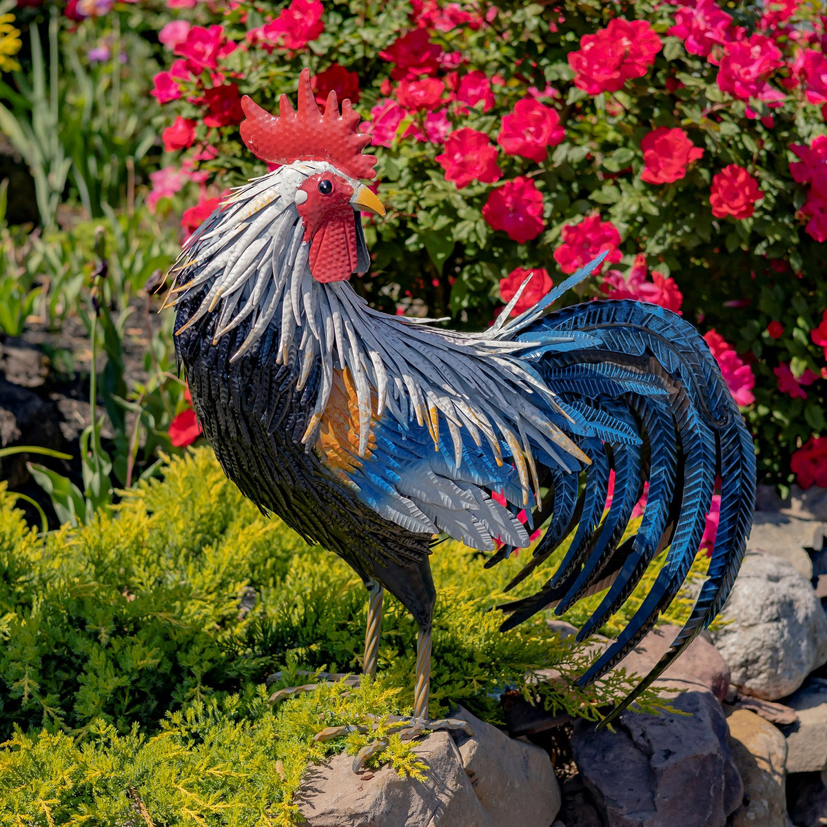 28" Tall Painted Iron Rooster Decoration "Brooks"