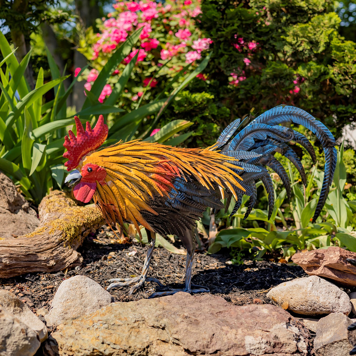Painted rooster sculpture standing among garden stones, mulch, and flowering plants.
