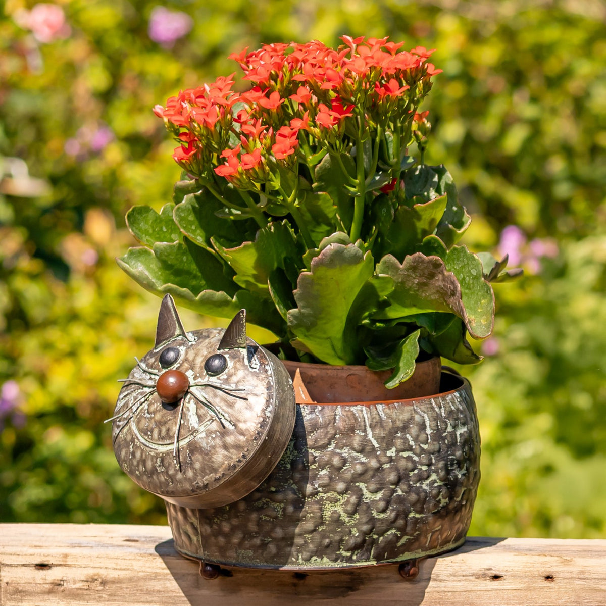 Set of 6 Assorted Animal Galvanized Flower Pots