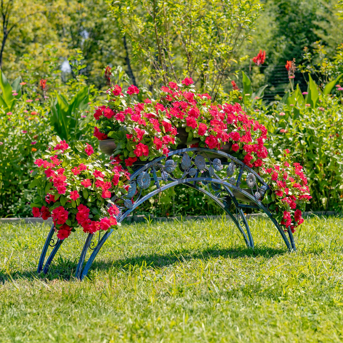 Blue arched metal plant stand covered with pink flowers, viewed from the side