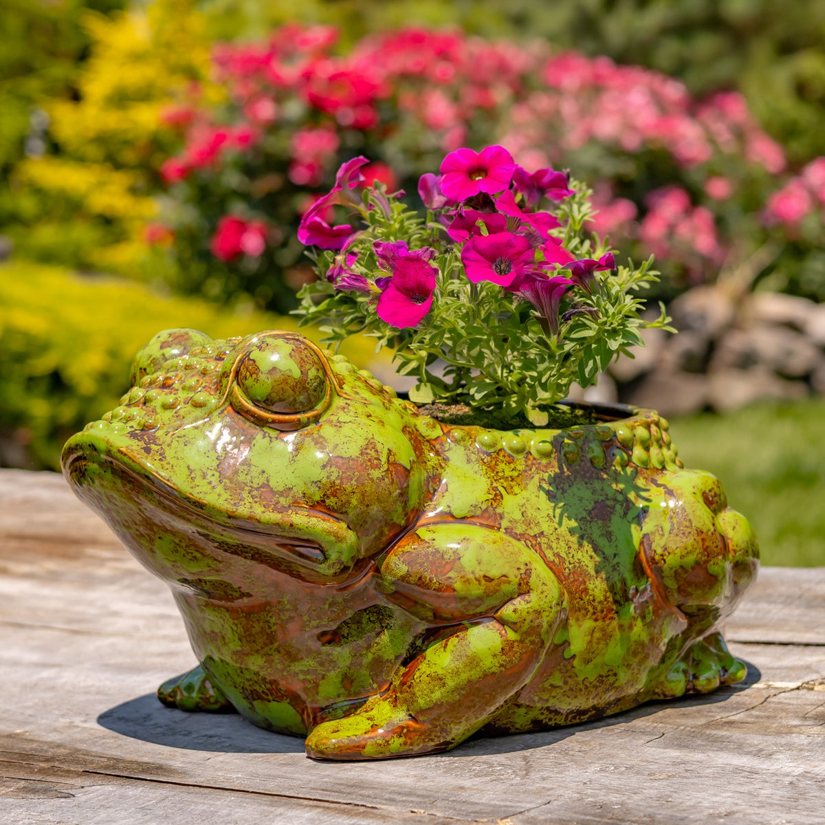 17" Hand Painted Ceramic Frog Planter "Rayne"
