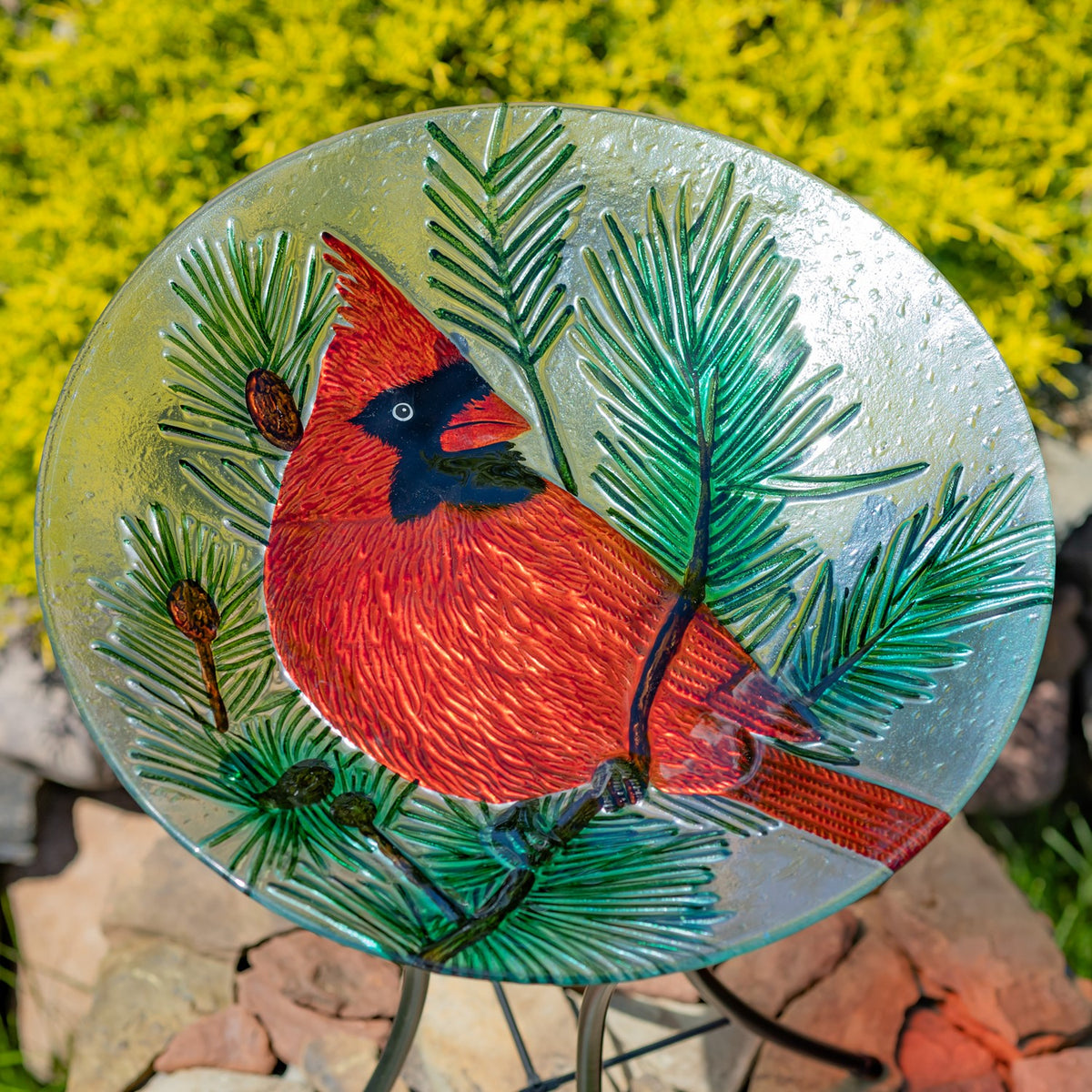 Glass birdbath bowl with a red cardinal and evergreen motif, viewed from above outdoors