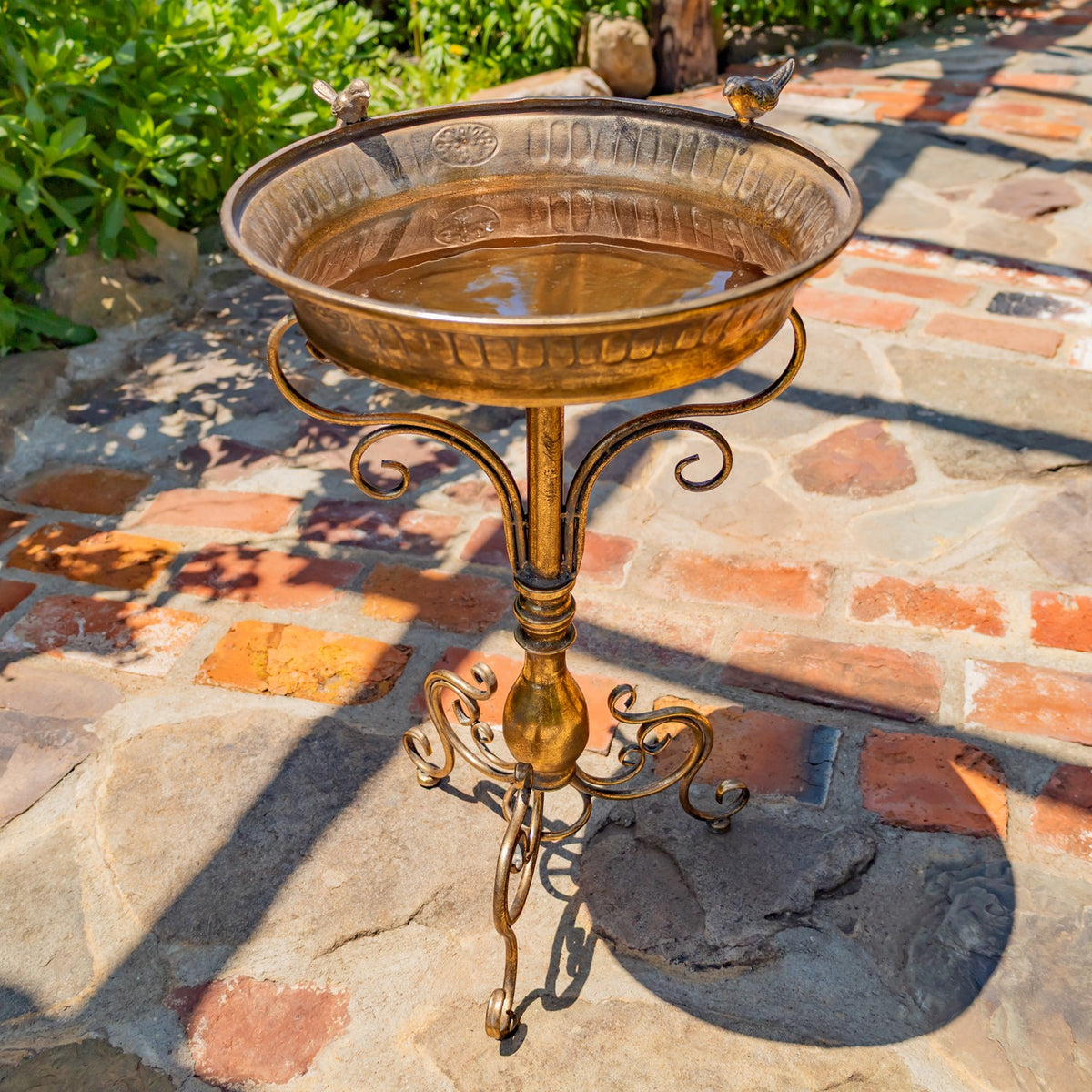 25.4" Tall Birdbath-Feeder with Ornate Stand