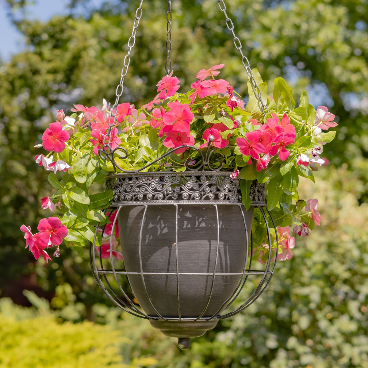 Ornate dark metal hanging planter filled with pink flowers and green foliage against a garden backdrop.