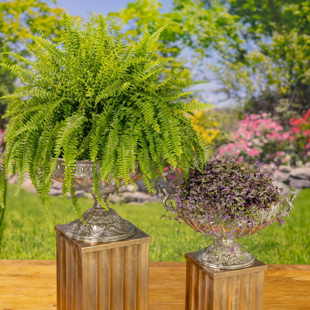 Set of 2 Assorted Metal Urn "Apollo"