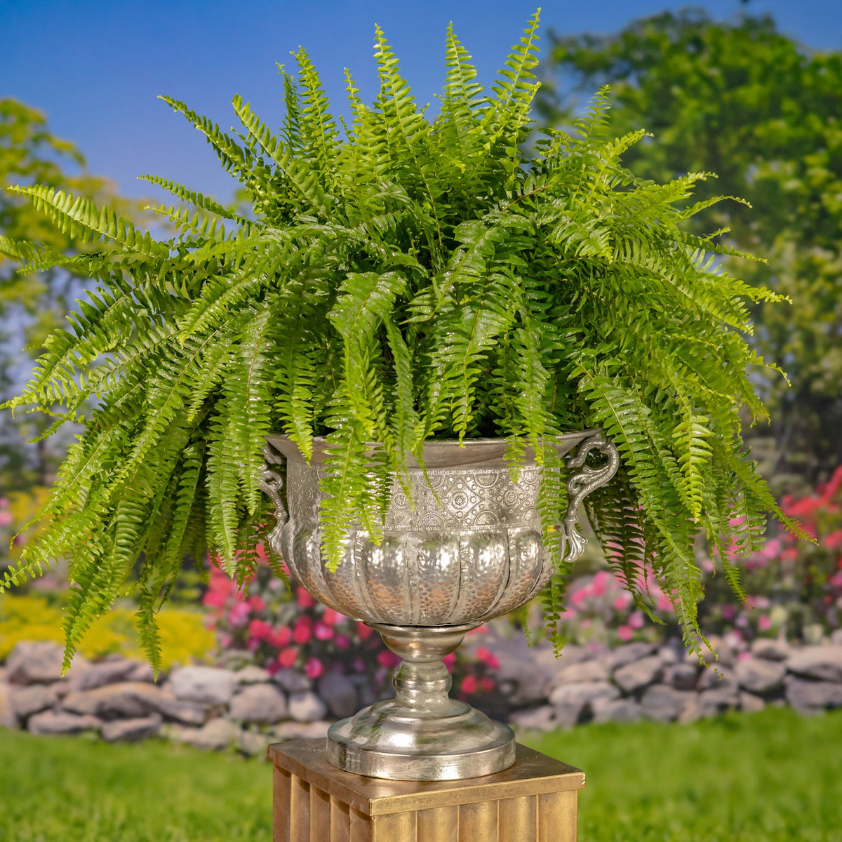 Set of 2 Assorted Metal Urns "Bacchus"