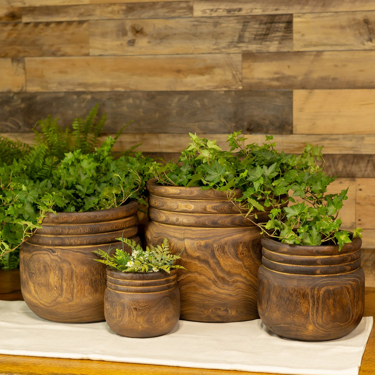 Four brown wooden bowls arranged in a row, with leafy plants spilling from three of them.