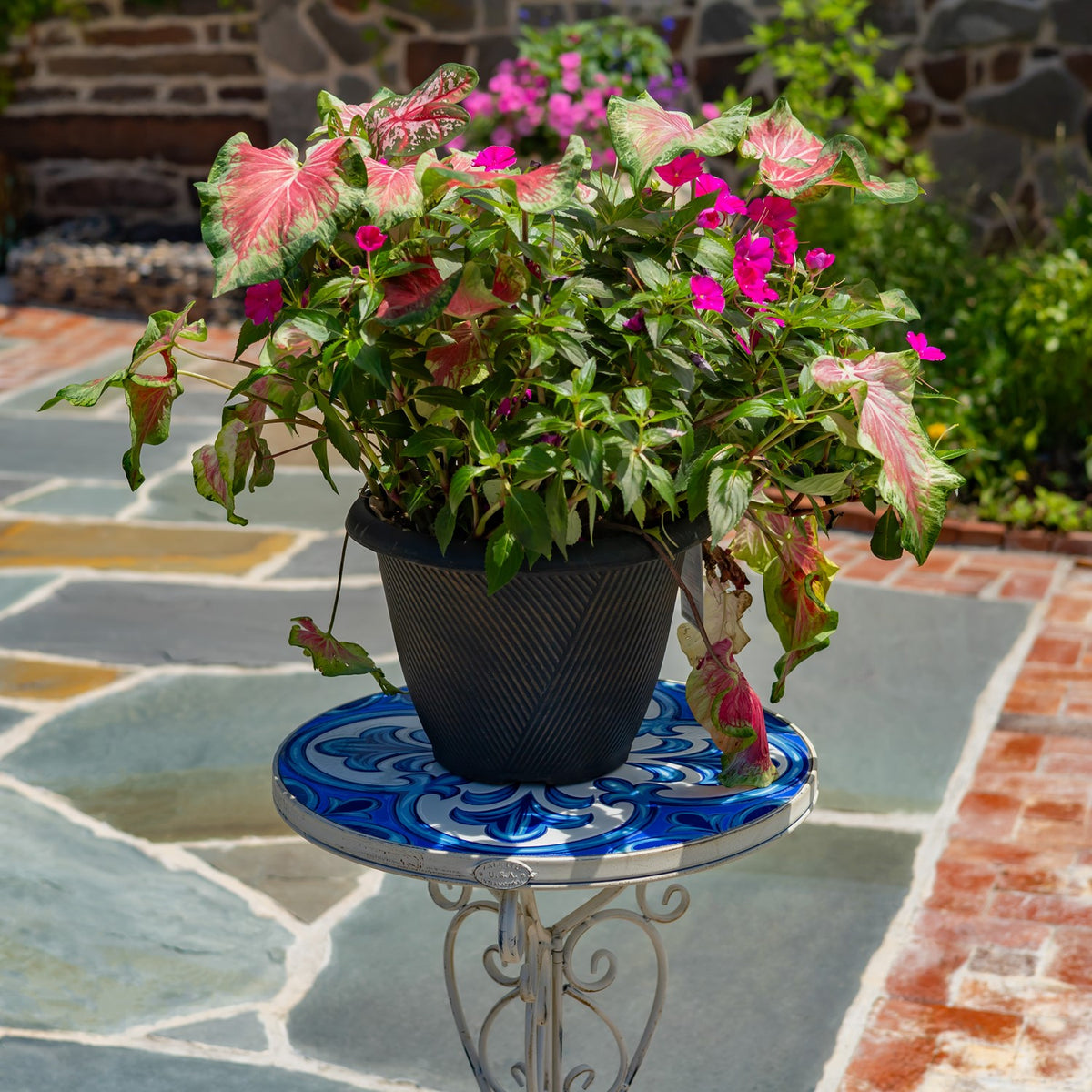 A leafy potted plant with pink flowers sits on a blue mosaic-topped stand on a stone patio.