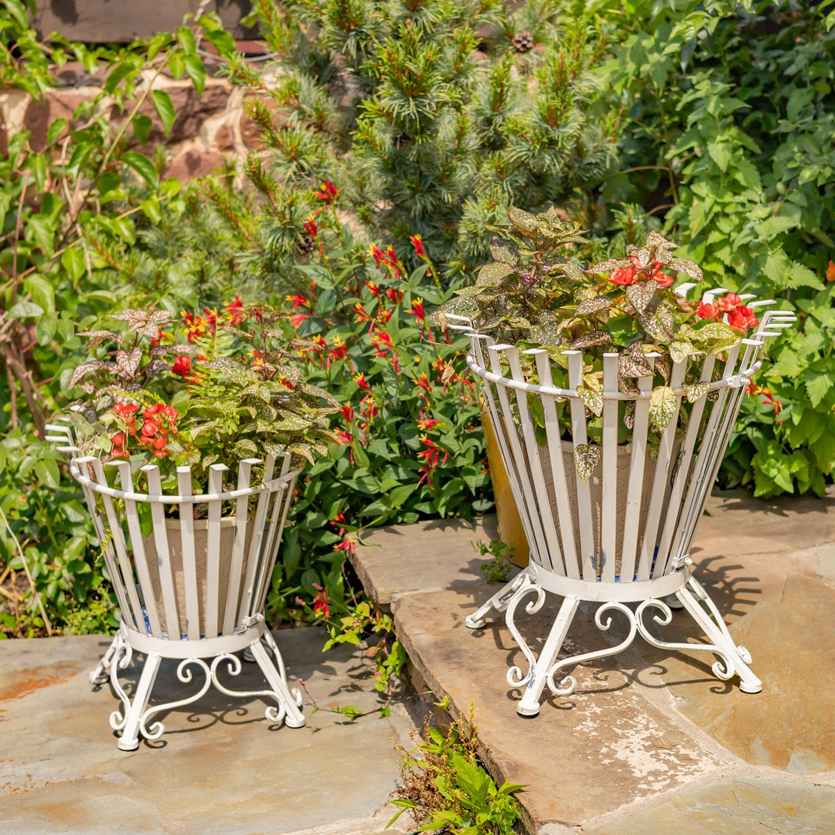Two white iron basket stands with curled feet hold flowering plants on a sunlit stone patio.