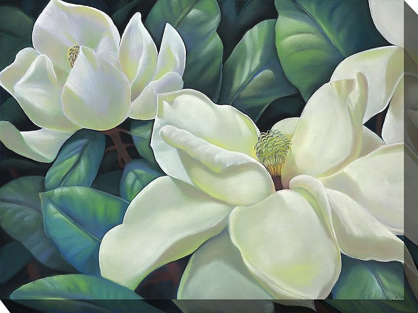 Southern Queen Outdoor Canvas Wall Art