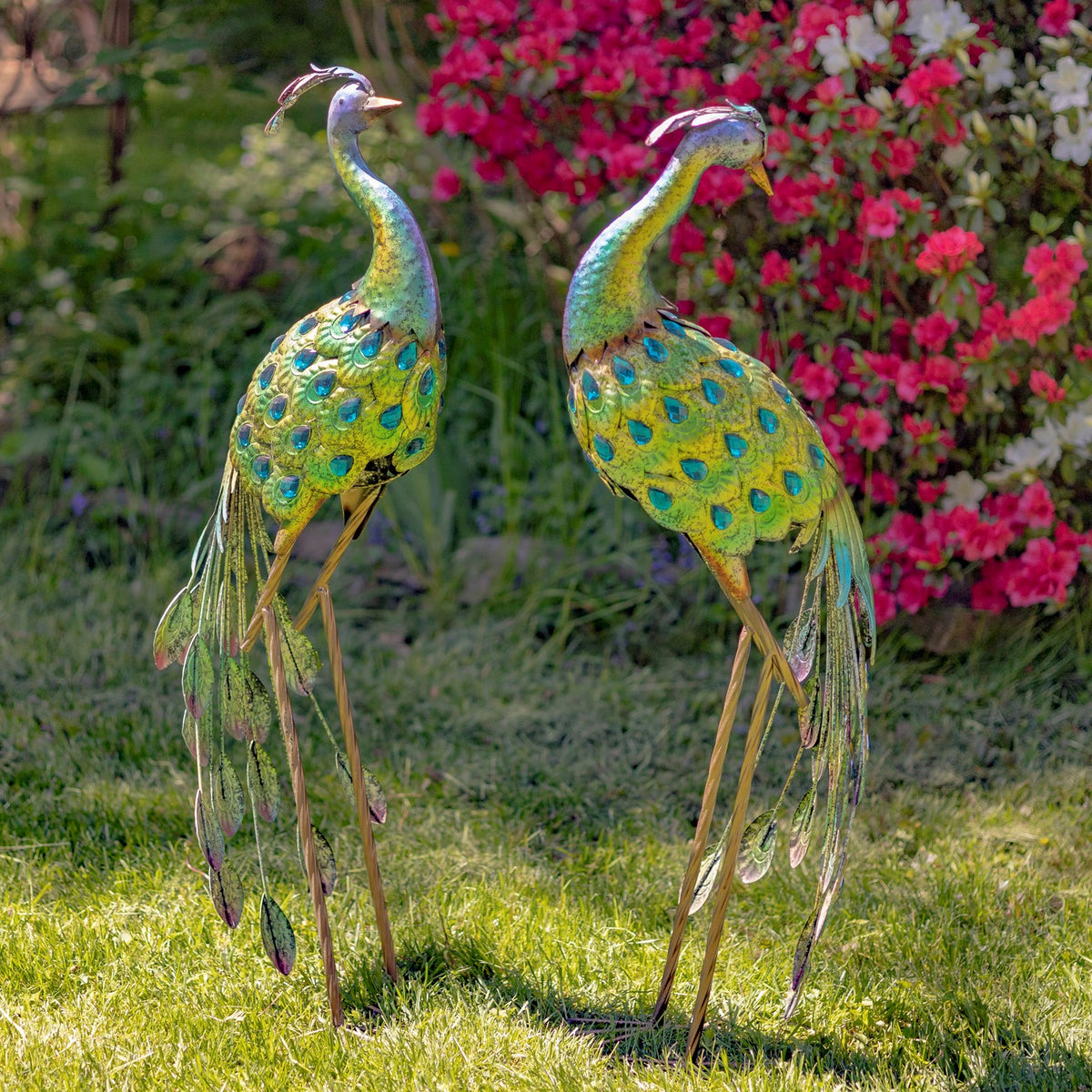 Two blue and green peacock statues facing inward on a garden lawn