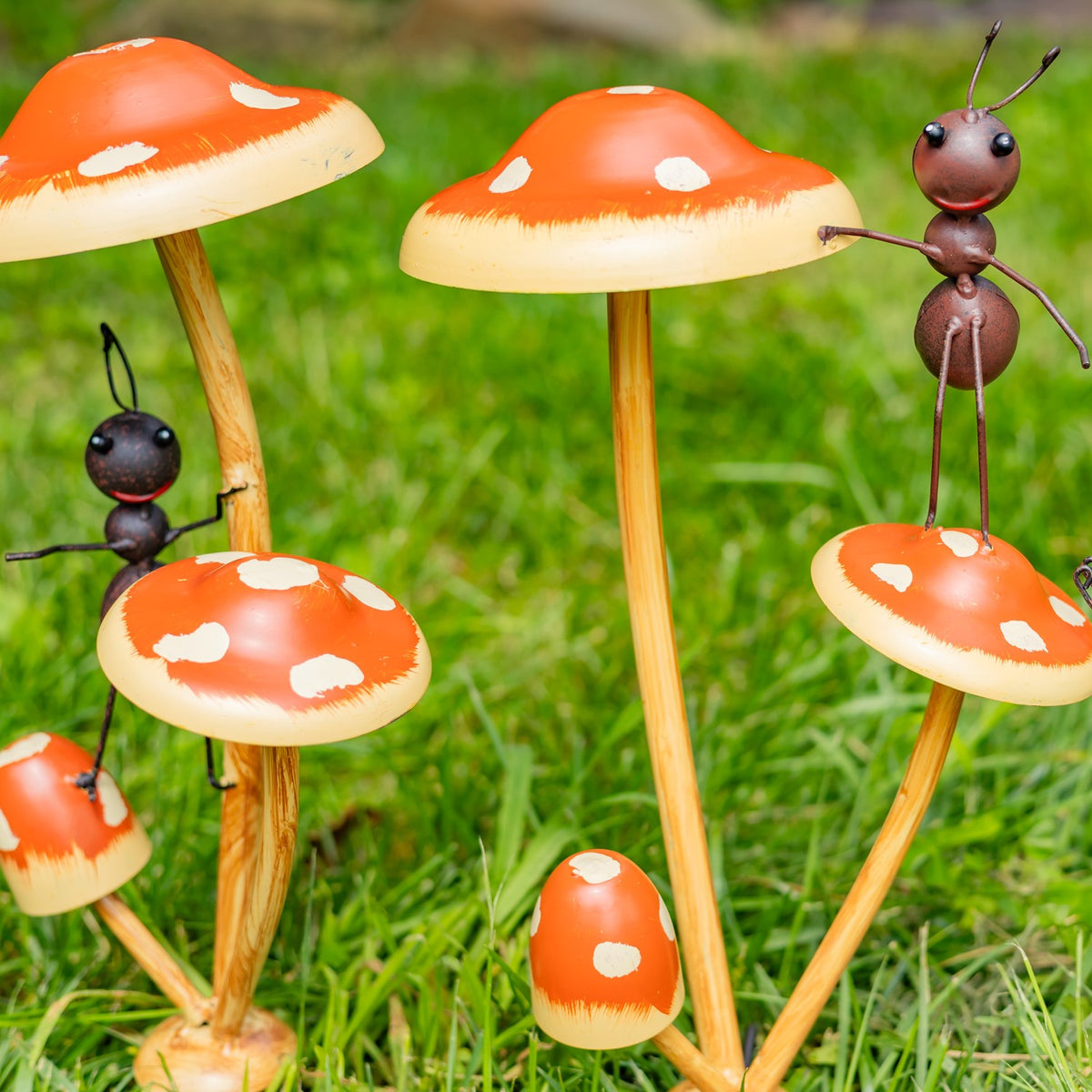 Set of 6 Assorted Funny Ants on Iron Mushroom Garden Stakes
