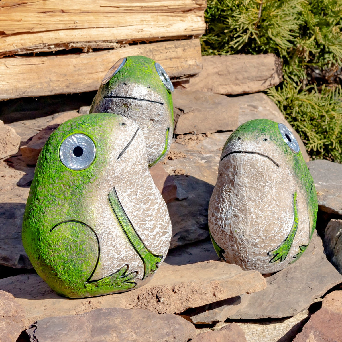 Set of 3 Solar Rock Frogs with Light Up Eyes