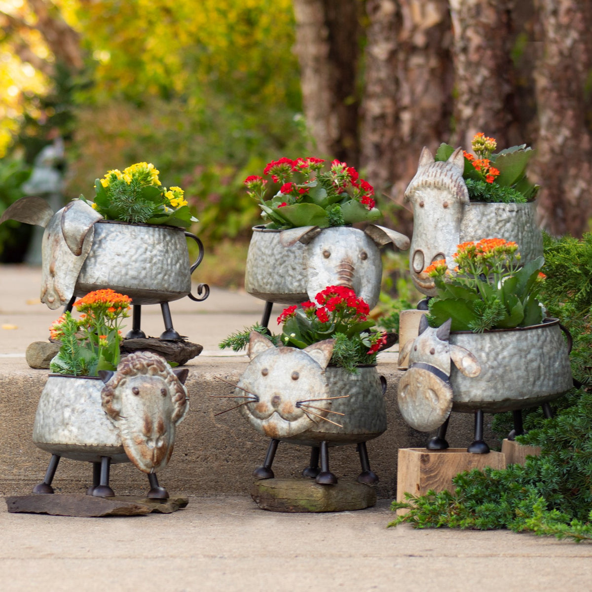 Set of 6 Assorted Galvanized Animal Planters