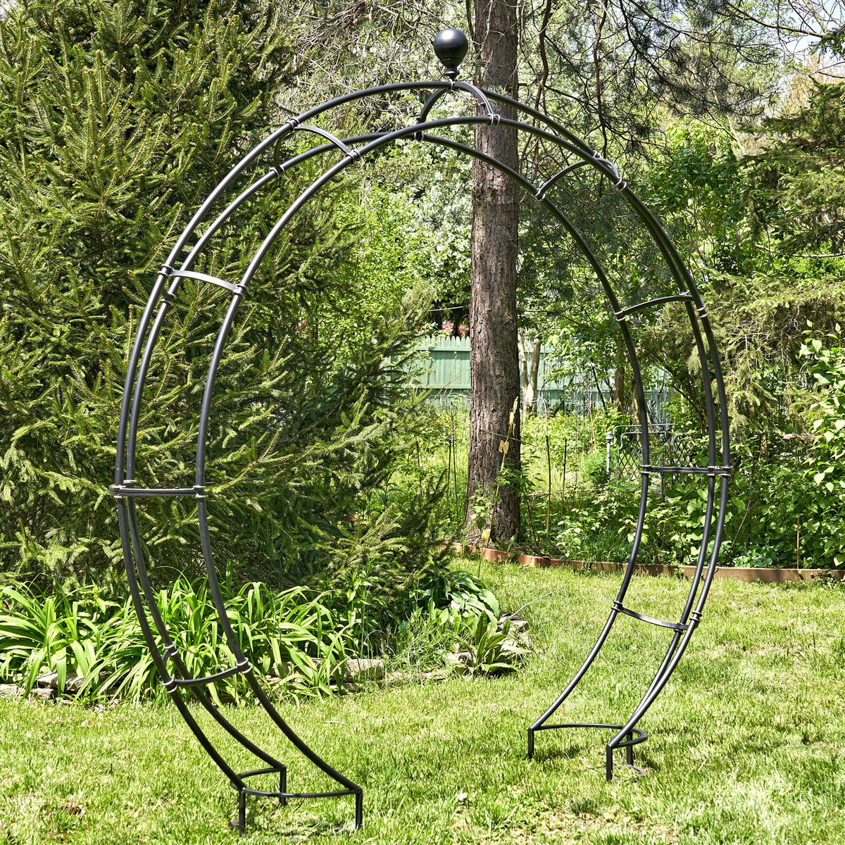 Matte black iron Moon Gate arch viewed at an angle in a garden