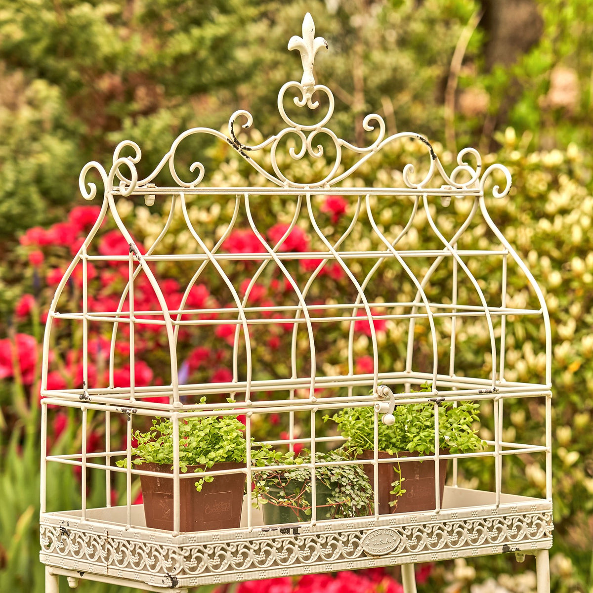 42.5" Tall Iron Cage Plant Stand "Paris 1968"