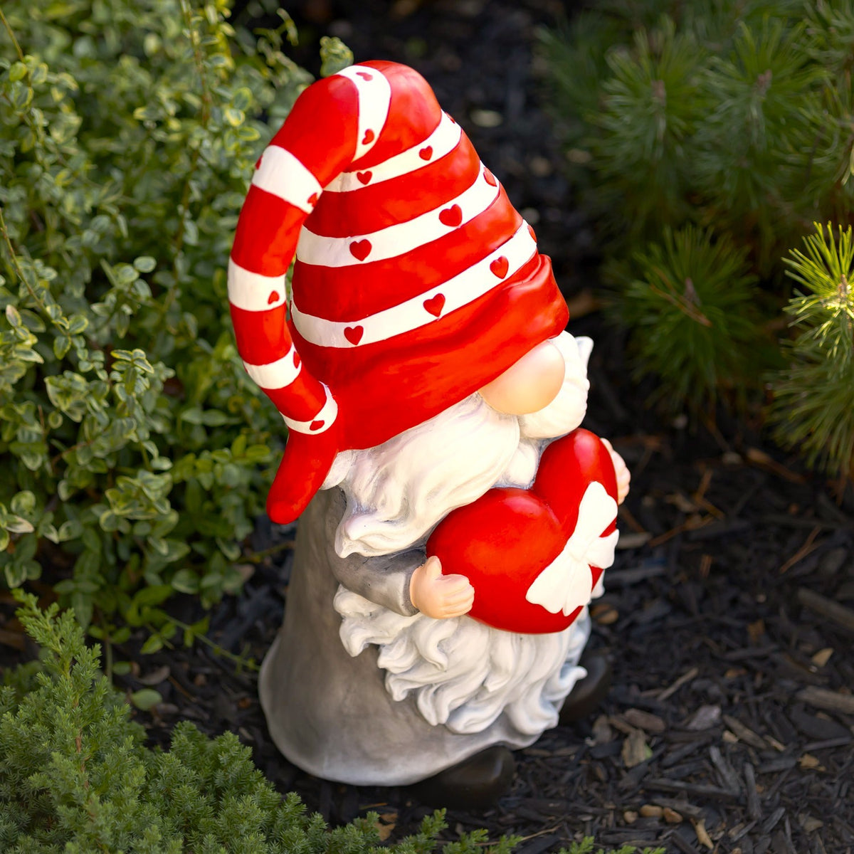 Valentine gnome holding a heart, side view in a garden bed