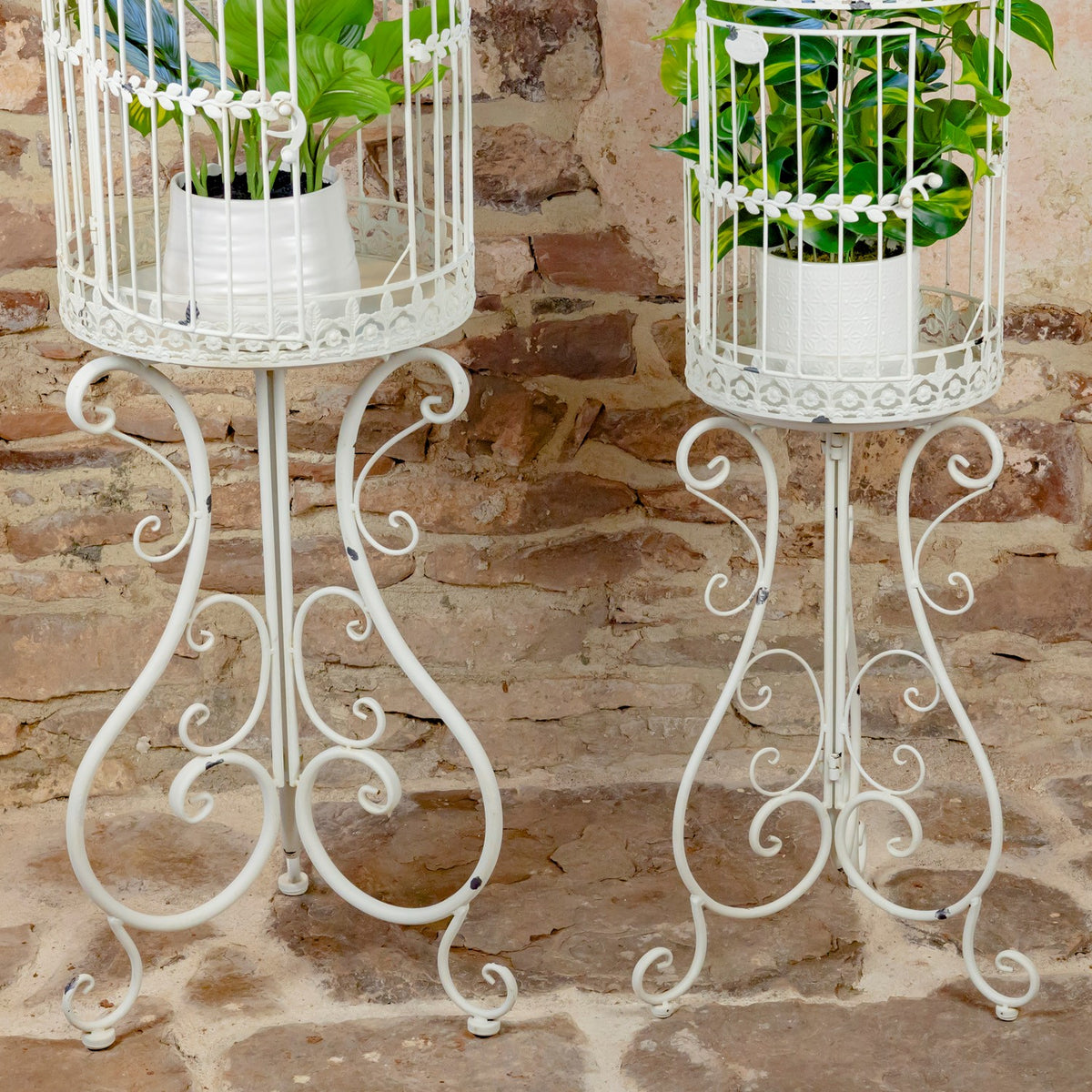 Close view of antique white birdcage decoration stands and decorative ironwork