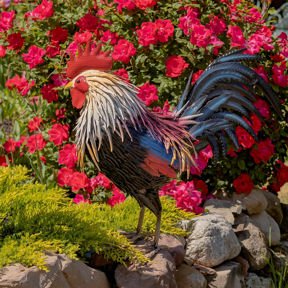 27" Tall Painted Iron Rooster Decoration "Chester"