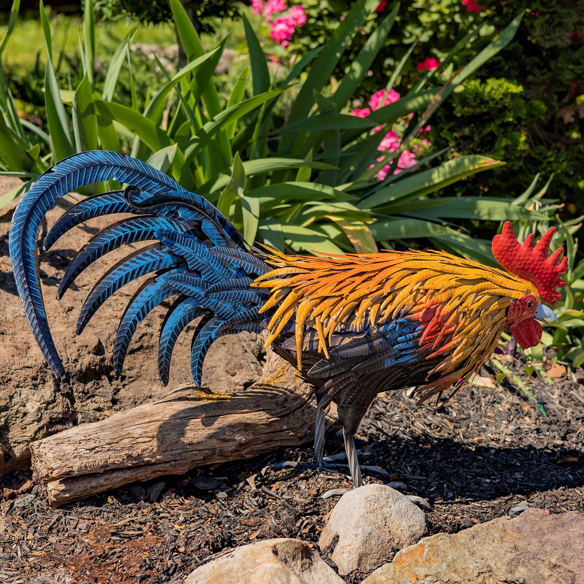 Rooster sculpture viewed from the other side, showing its long blue tail feathers in a garden.