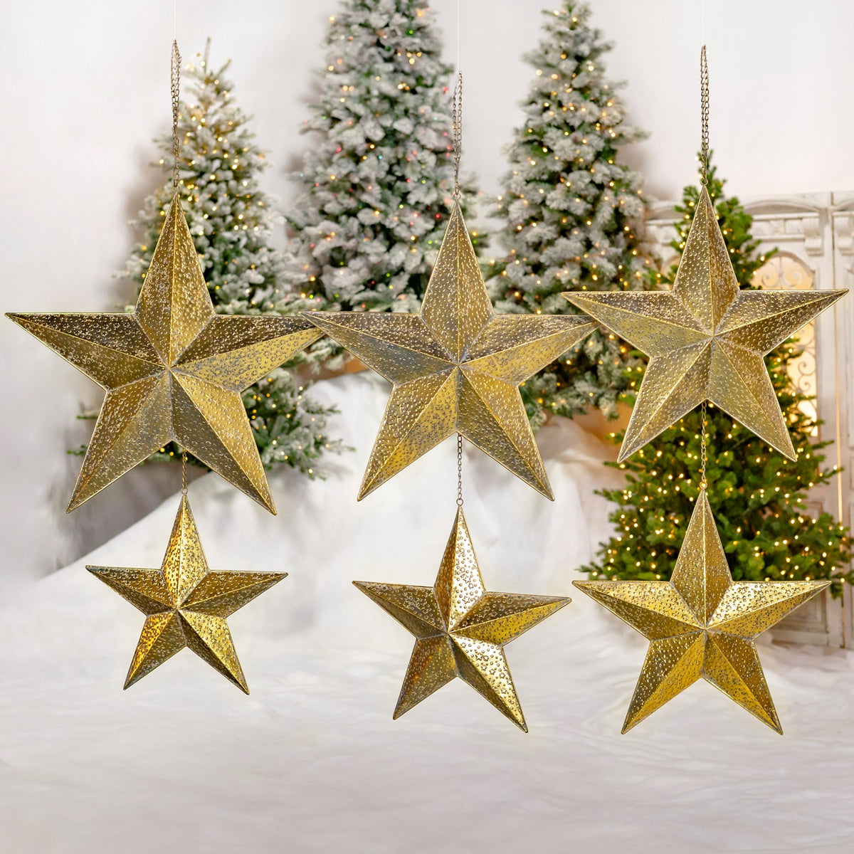 Six gold star ornaments in assorted sizes hang in two rows before decorated trees.