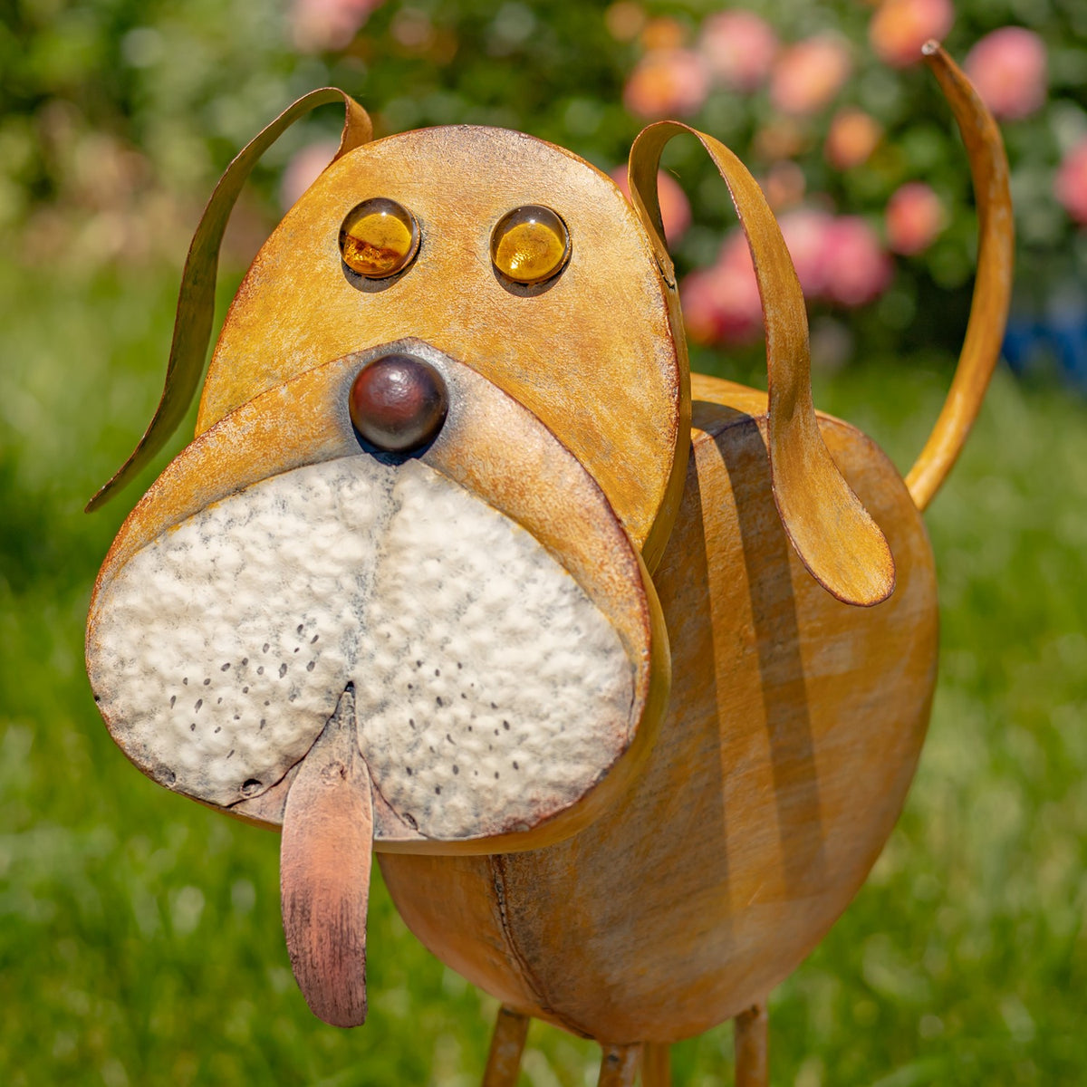 Close-up of the rust-gold dog's face and cream-colored muzzle outdoors