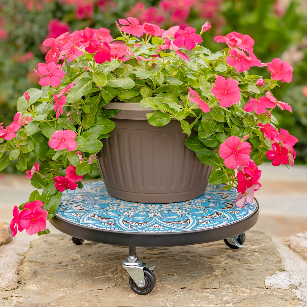 A flowering potted plant sits on the patterned round trolley, with its caster wheels visible below.