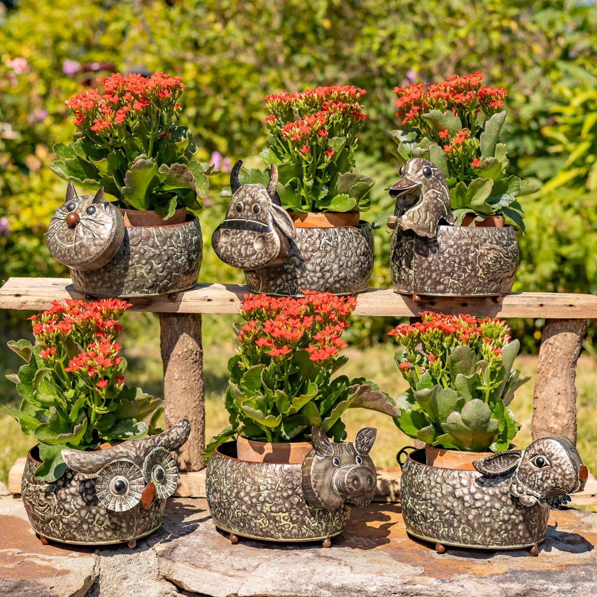 Set of 6 Assorted Animal Galvanized Flower Pots