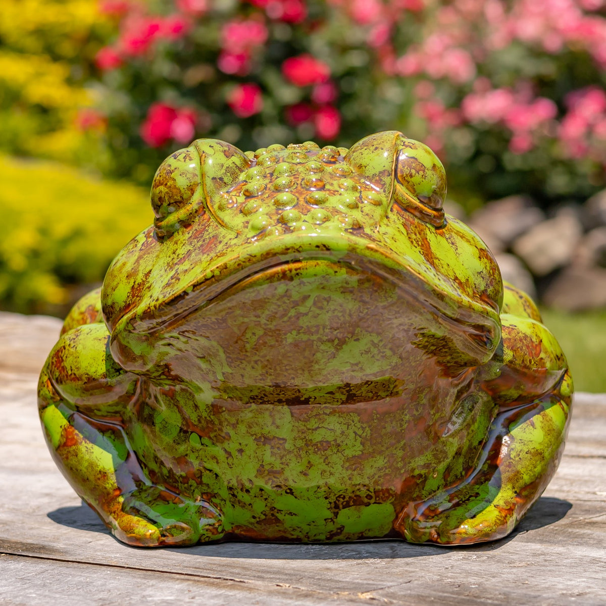 17" Hand Painted Ceramic Frog Planter "Rayne"